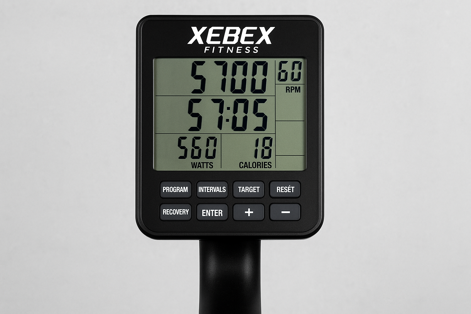 xebex
