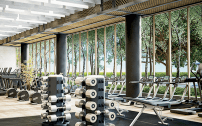 Bucktown Fitness Club Chicago: Complete Guide to Top Gyms in the Neighborhood