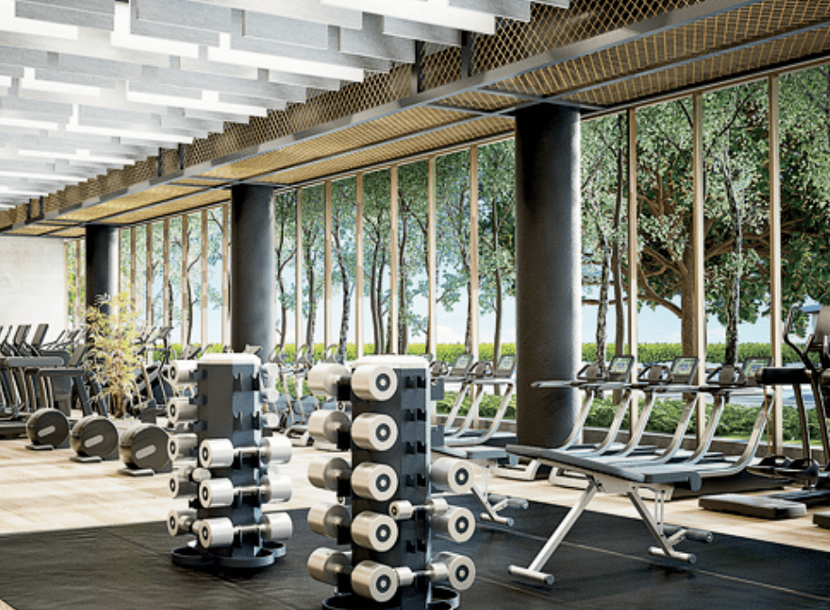 Bucktown Fitness Club Chicago: Complete Guide to Top Gyms in the Neighborhood